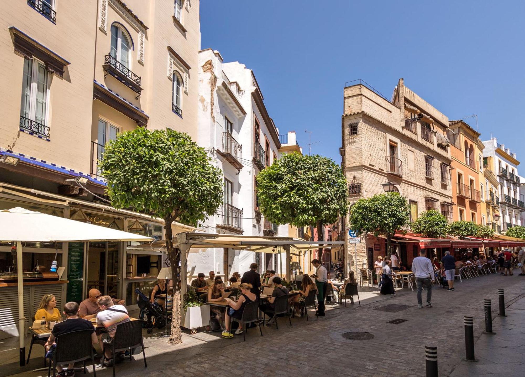 Botanic Duplex Terrace 5 Pax Apartment Seville Exterior photo